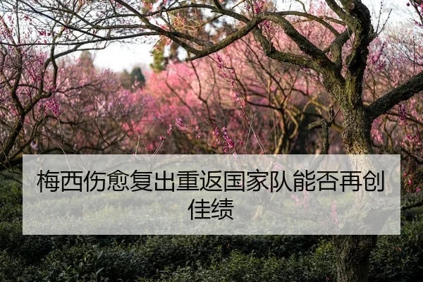 梅西伤愈复出重返国家队能否再创佳绩